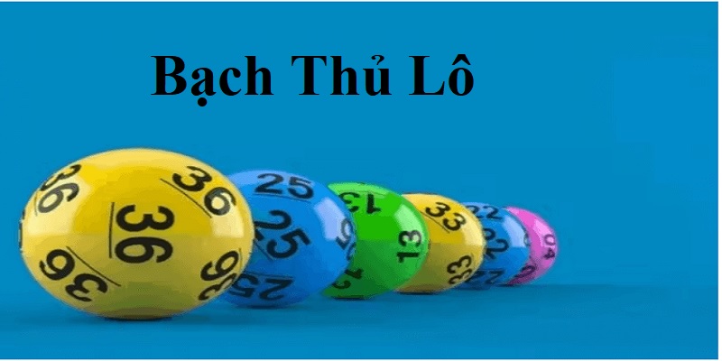 san bach thu lo dep 6800df3600b2d